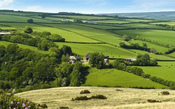 Zeal Farm Bed & Breakfast Dulverton Exterior foto