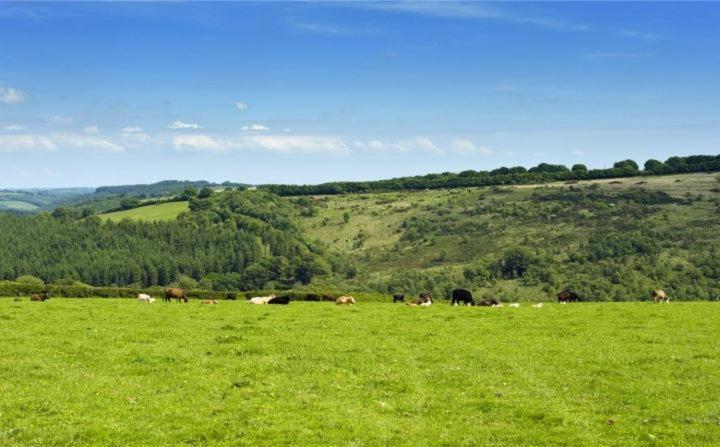 Zeal Farm Bed & Breakfast Dulverton Exterior foto